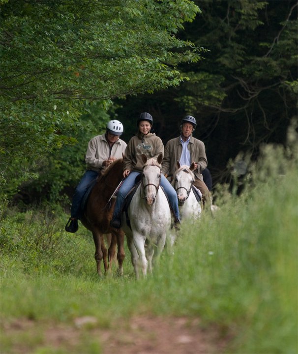 Horseback Riding