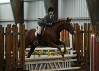 Bridle Hill Farm