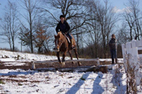 Bridle Hill Farm