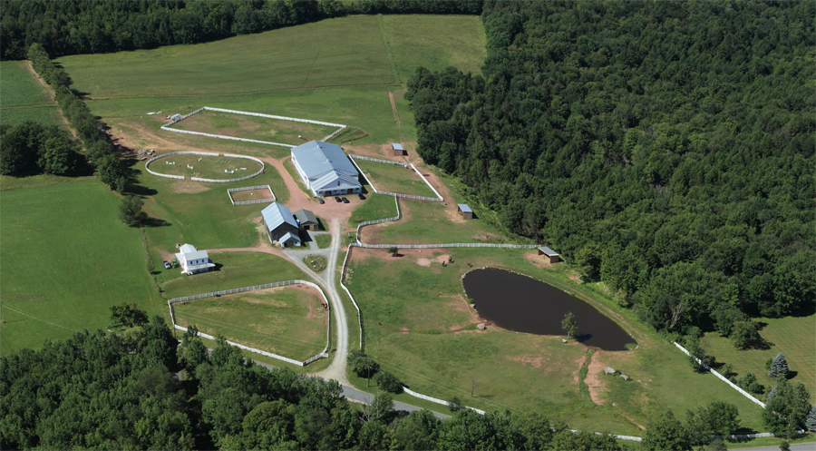 Bridle Hill Farm