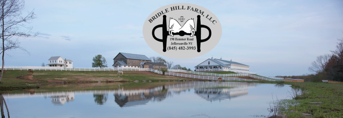 Bridle Hill Farm