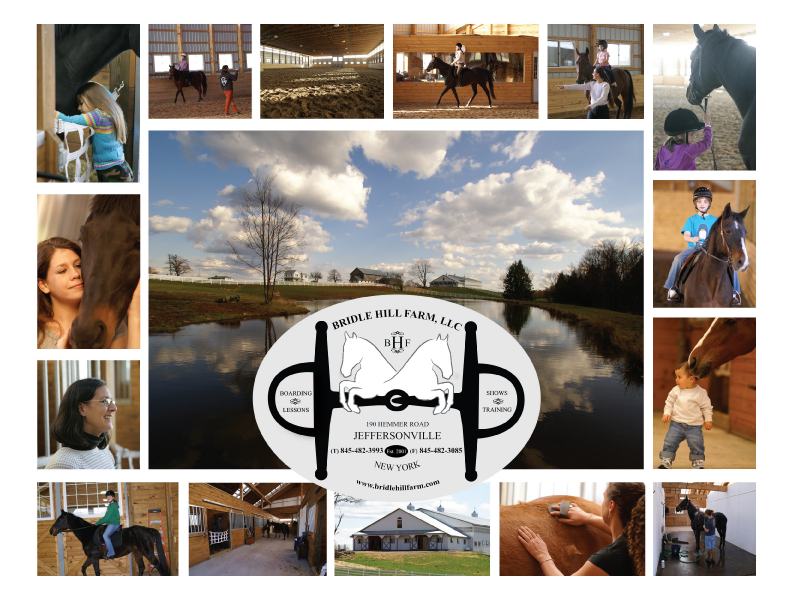 Welcome to Bridle Hill Farm