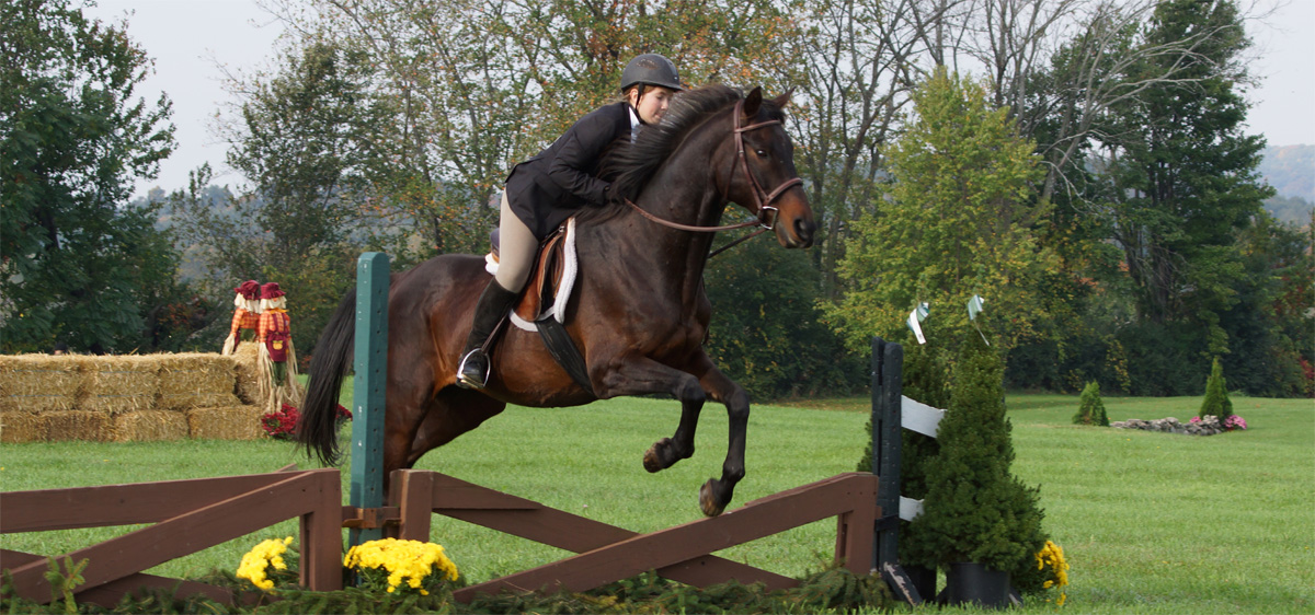 Bridle Hill Farm