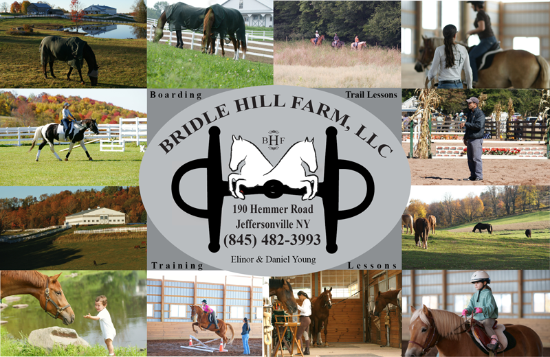 Bridle Hill Farm