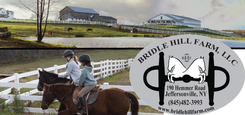 Bridle Hill Farm