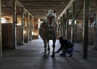 Bridle Hill Farm School barn