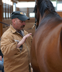 Riding Therapy