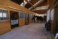 Bridlehillfarm