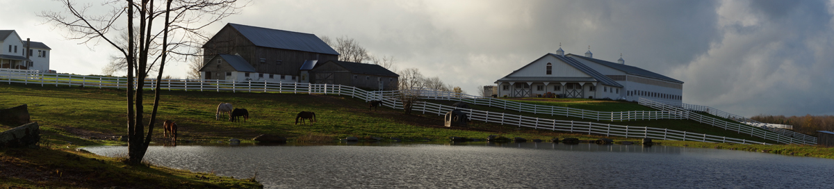 Bridle Hill Farm