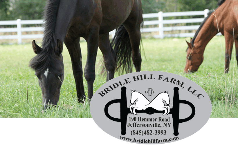 Bridle Hill Farm