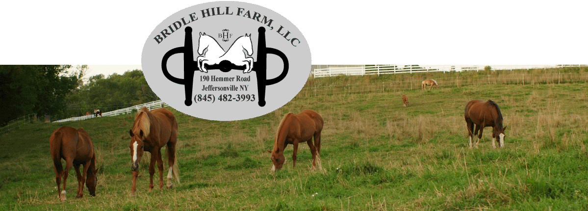 Bridle Hill Farm  front view