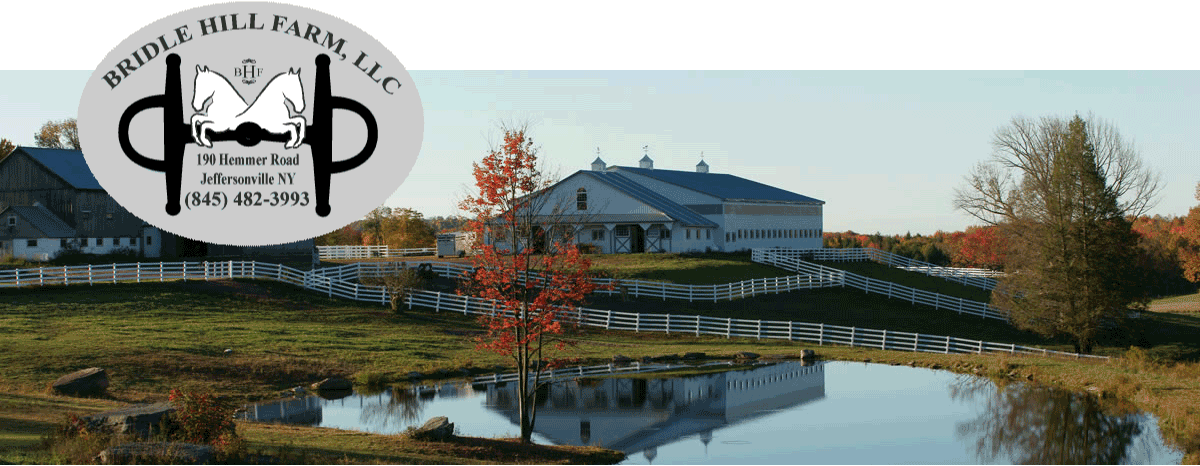 Bridle Hill Farm  front view