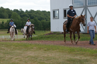 Bridle Hill Farm