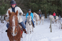 Winter Trail